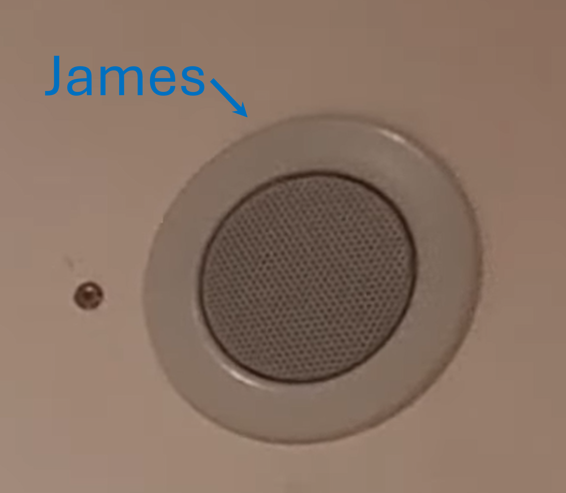 Nahaufnahme des Einbaulautsprechers „James“