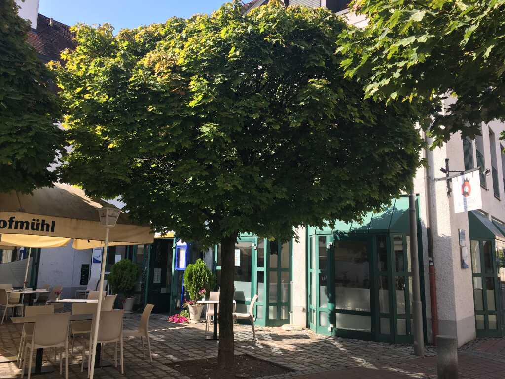 Ristorante Il Re Matto, ein schönes Restaurant in der Nähe des Schrannenplatzes